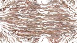 First of 'reflets &mdash; paint synthesiser classic &mdash; 3.0 collection cloners 1 4'.