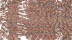 Fifth of 'reflets &mdash; paint synthesiser classic &mdash; 3.0 collection cloners 1 4'.