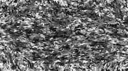 Sixth of 'reflets &mdash; paint synthesiser classic &mdash; 3.0 collection cloners 1 5'.