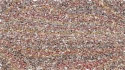 Second of 'reflets &mdash; paint synthesiser classic &mdash; 3.0 collection cloners 2 5'.