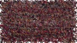 Fourth of 'reflets &mdash; paint synthesiser classic &mdash; 3.0 collection cloners 3 2'.