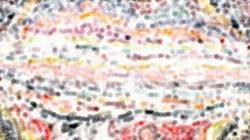 First of 'reflets &mdash; paint synthesiser classic &mdash; 3.0 collection cloners 4 8'.