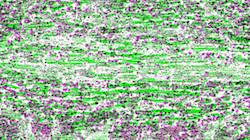 Second of 'reflets &mdash; paint synthesiser classic &mdash; 3.0 collection cloners 4 9'.