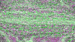 Third of 'reflets &mdash; paint synthesiser classic &mdash; 3.0 collection cloners 4 9'.