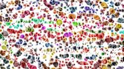 Sixth of '4.0 A collection cloners wacky 1'.