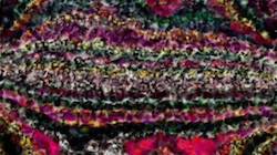 Seventh of 'reflets &mdash; paint synthesiser classic &mdash; 3.0 collection cloners::strokes 1'.