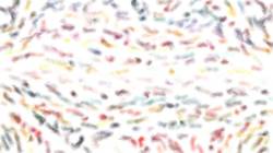 First of 'reflets &mdash; paint synthesiser classic &mdash; 3.0 collection clostro::strokes 9'.