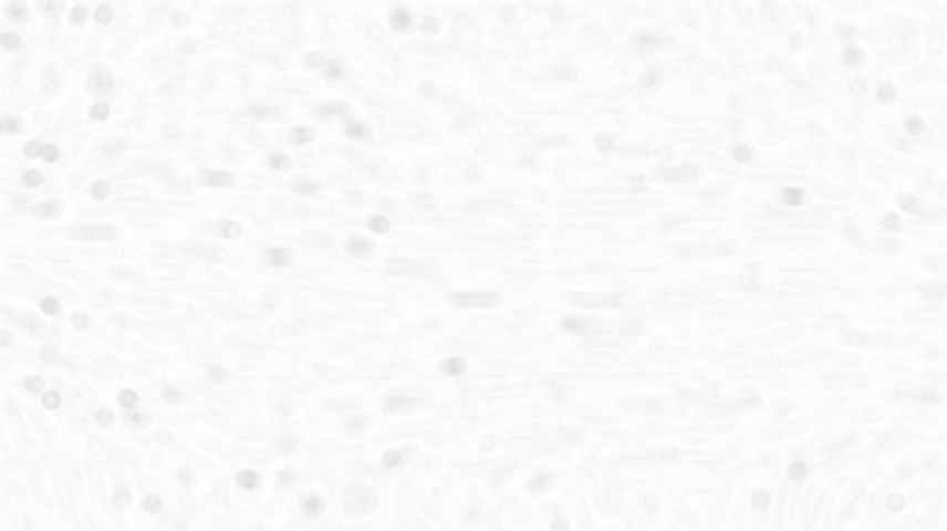 Image 'reflets &mdash; paint synthesiser classic &mdash; users creative mac washes 1 2'.