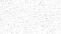 Fifth of 'reflets &mdash; paint synthesiser classic &mdash; users creative mac washes 2'.