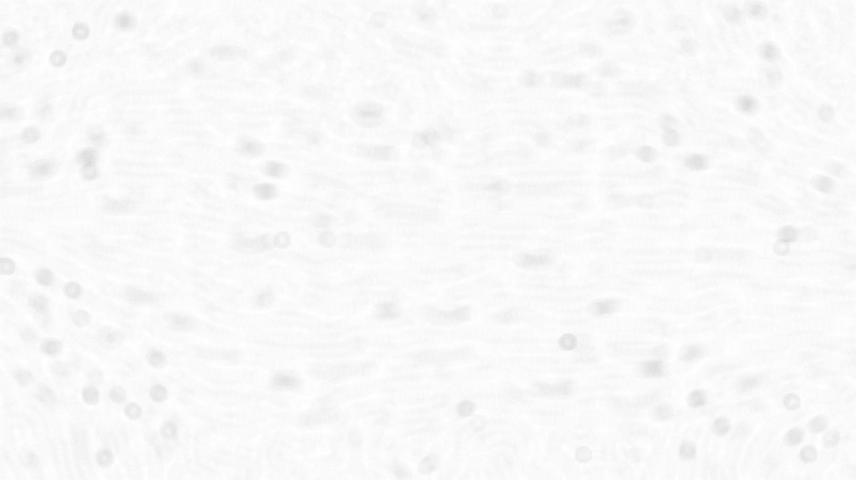 Image 'reflets &mdash; paint synthesiser classic &mdash; users creative mac washes 3 1'.