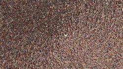 Sixth of 'reflets &mdash; paint synthesiser classic &mdash; users chuck&rsquo;s particle brushes'.