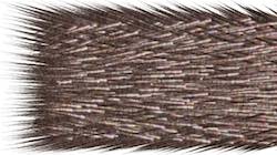 First of 'reflets &mdash; paint synthesiser classic &mdash; users chuck&rsquo;s shooting stars 1'.