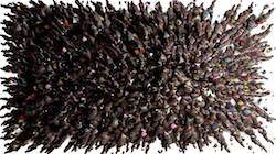 Second of 'reflets &mdash; paint synthesiser classic &mdash; users chuck&rsquo;s shooting stars 2'.