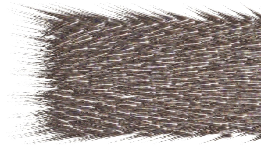 Image 'reflets &mdash; paint synthesiser classic &mdash; users chuck&rsquo;s shooting stars 3 3'.