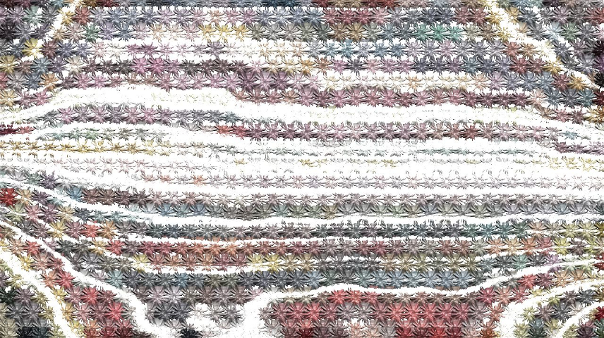 Image 'reflets &mdash; paint synthesiser classic &mdash; users chuck&rsquo;s tex synth brushes 2 1'.