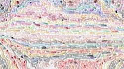 Fifth of 'reflets &mdash; paint synthesiser classic &mdash; users dino favourites'.