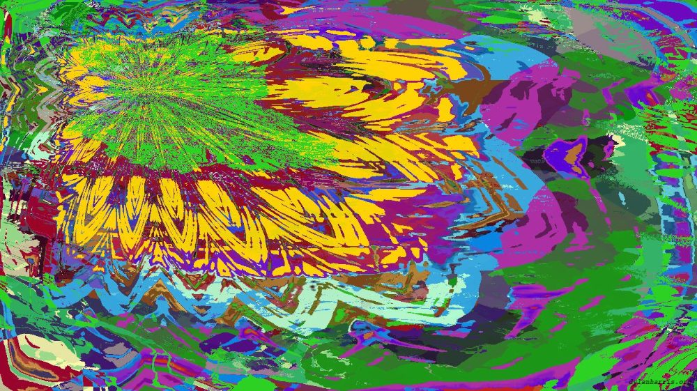 Image 'reflets &mdash; msg &mdash; variations 1 d&ndash;new 4 3'.