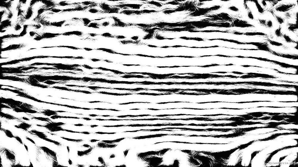 Image 'reflets &mdash; msg &mdash; processing effects 1 edge 2'.