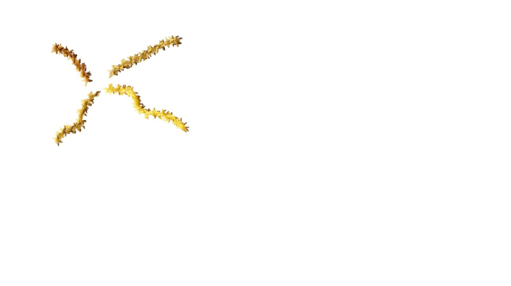 Image 'reflets &mdash; paint synthesiser classic &mdash; 3.0 collection examples 1 6'.