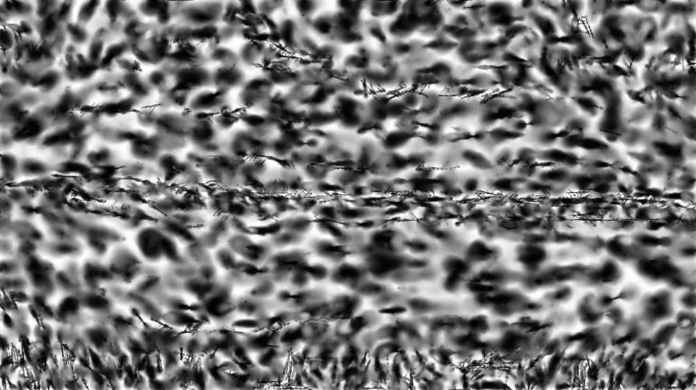 Image 'reflets &mdash; paint synthesiser classic &mdash; users 1 hj maxset 20 2 2'.