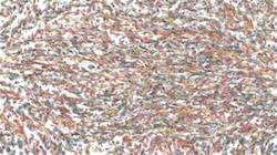 Fifth of 'reflets &mdash; paint synthesiser classic &mdash; 3.0 collection liquid cloners 3'.