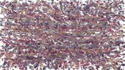 Seventh of 'reflets &mdash; paint synthesiser classic &mdash; 3.0 collection liquid cloners 3'.