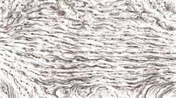 Fourth of 'reflets &mdash; paint synthesiser classic &mdash; 3.0 collection liquid cloners 4'.