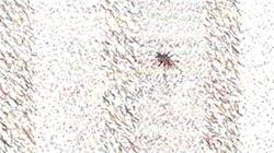 Second of 'reflets &mdash; paint synthesiser classic &mdash; 3.0 collection liquids 3'.