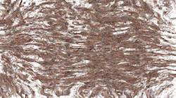 Fourth of 'reflets &mdash; paint synthesiser classic &mdash; 3.0 collection liquids 3'.