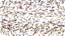 Fifth of 'reflets &mdash; paint synthesiser classic &mdash; 3.0 collection liquids 3'.