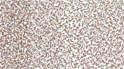 Seventh of 'reflets &mdash; paint synthesiser classic &mdash; 3.0 collection liquids 6'.