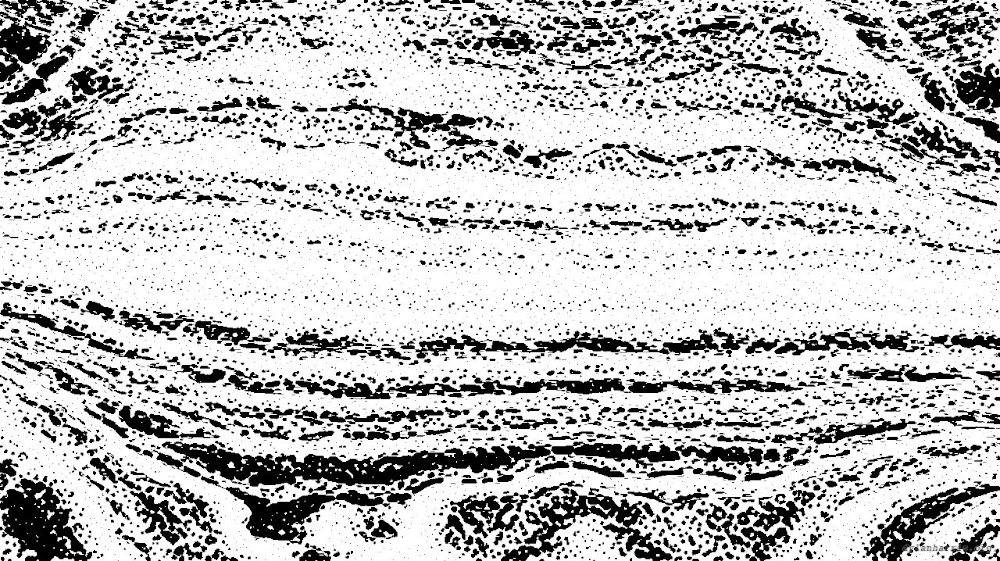 Image 'reflets &mdash; paint action sequence &mdash; litho ideas 1 4'.