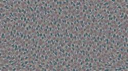 Fifth of 'reflets &mdash; paint synthesiser classic &mdash; 3.0 collection live video paint'.