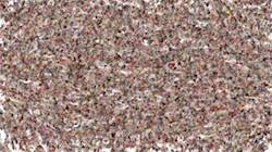 Sixth of 'reflets &mdash; paint synthesiser classic &mdash; 2.0 collection materials 3'.