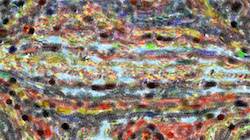 Fourth of 'reflets &mdash; paint synthesiser classic &mdash; 2.0 collection movie brush 1'.