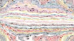 Sixth of 'reflets &mdash; paint synthesiser classic &mdash; users cd media presets 2002 8'.