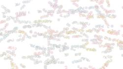 Third of 'reflets &mdash; paint synthesiser classic &mdash; paint styles materials&ndash;styles 2'.