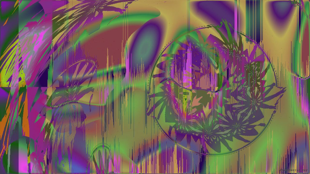 Image 'zz msg presets msg 1 2 1'.