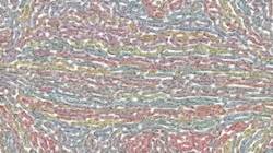 Fourth of 'reflets &mdash; paint synthesiser classic &mdash; 3.0 collection msg paint 1 1'.