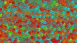 Seventh of 'reflets &mdash; paint synthesiser classic &mdash; 3.0 collection msg paint 1 5'.