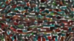 Eighth of 'reflets &mdash; paint synthesiser classic &mdash; 3.0 collection msg paint 1 6'.