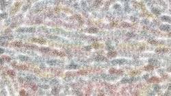 Second of 'reflets &mdash; paint synthesiser classic &mdash; 3.0 collection msg paint 1 7'.