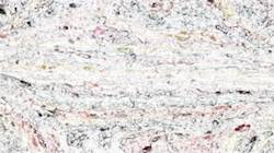 First of 'reflets &mdash; paint synthesiser classic &mdash; 3.5 collection multinibs 4'.