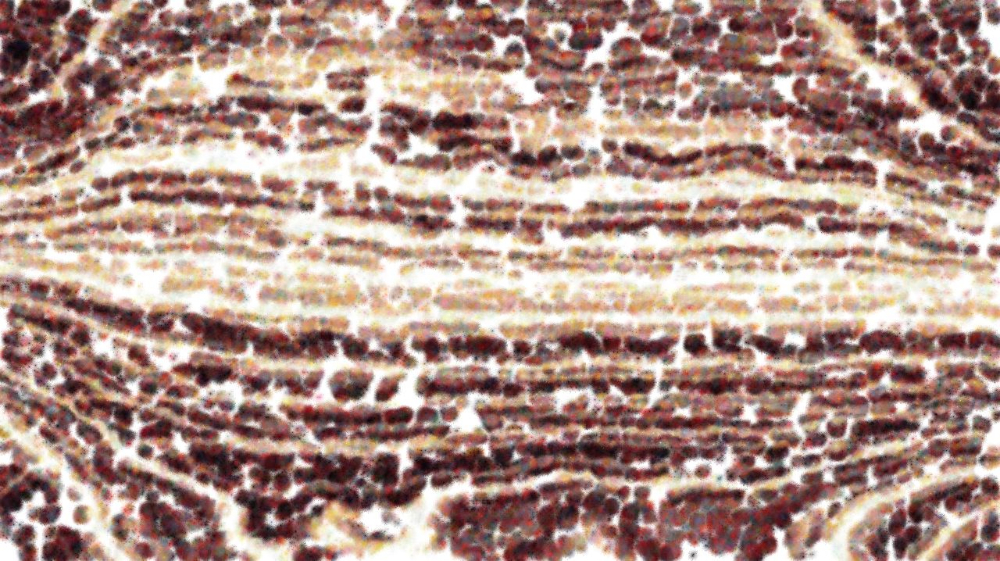 Image 'reflets &mdash; paint synthesiser classic &mdash; users nagel 11 3 3'.