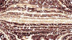 Third of 'reflets &mdash; paint synthesiser classic &mdash; users nagel 11 3'.