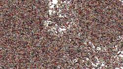 First of 'reflets &mdash; paint synthesiser classic &mdash; users nagel 9 1'.