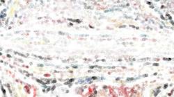 Seventh of 'reflets &mdash; paint synthesiser classic &mdash; 3.0 collection natural media 2'.