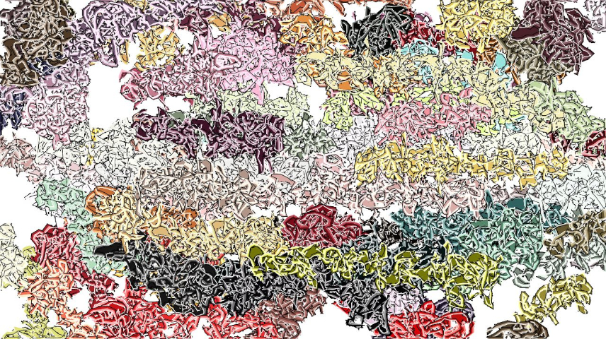 Image '4.0 B collection new 1 5 5'.