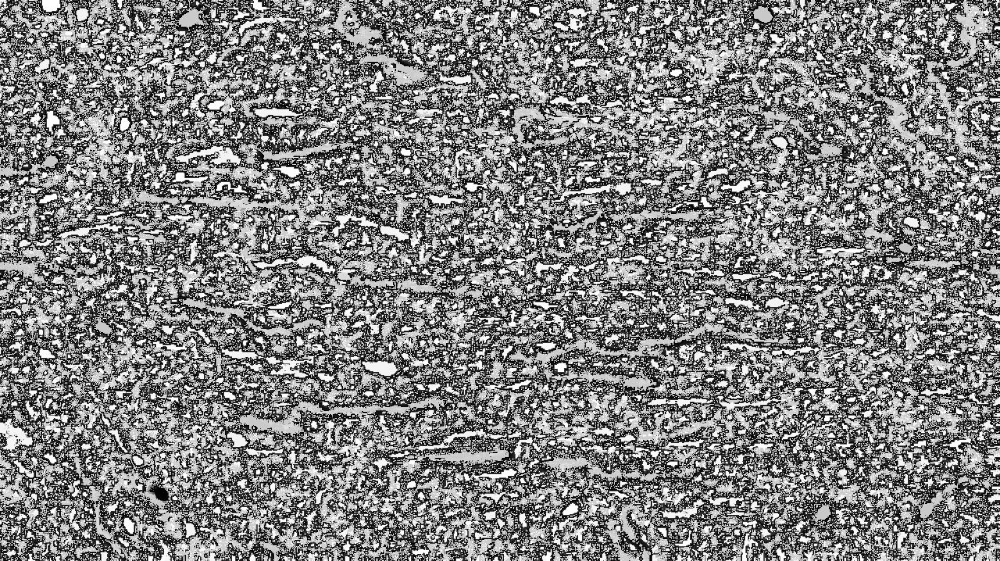 Image 'reflets &mdash; dualmode paint &mdash; new new 2 1 5'.