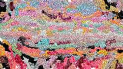 First of 'reflets &mdash; paint synthesiser classic &mdash; 4.0 collection new msg paint 2'.